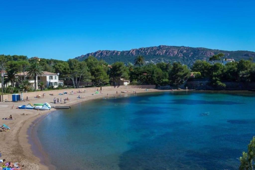 Cosy Appart St Raph, Piscine Residence, Proche Mer Saint-Raphaël エクステリア 写真